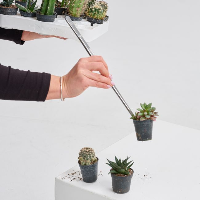 SPECIÁLIS FÖLDKEVERÉK 